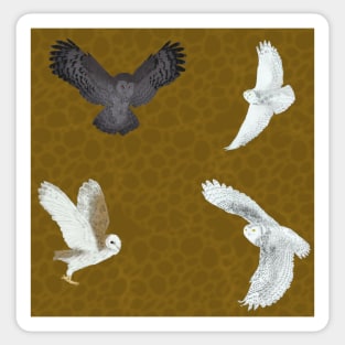 Soaring Owls Brown Sticker